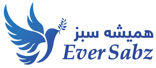 Eversabz Logo